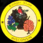 WISCONSIN PIN STATE EMBLEM WISCONSIN PIN
